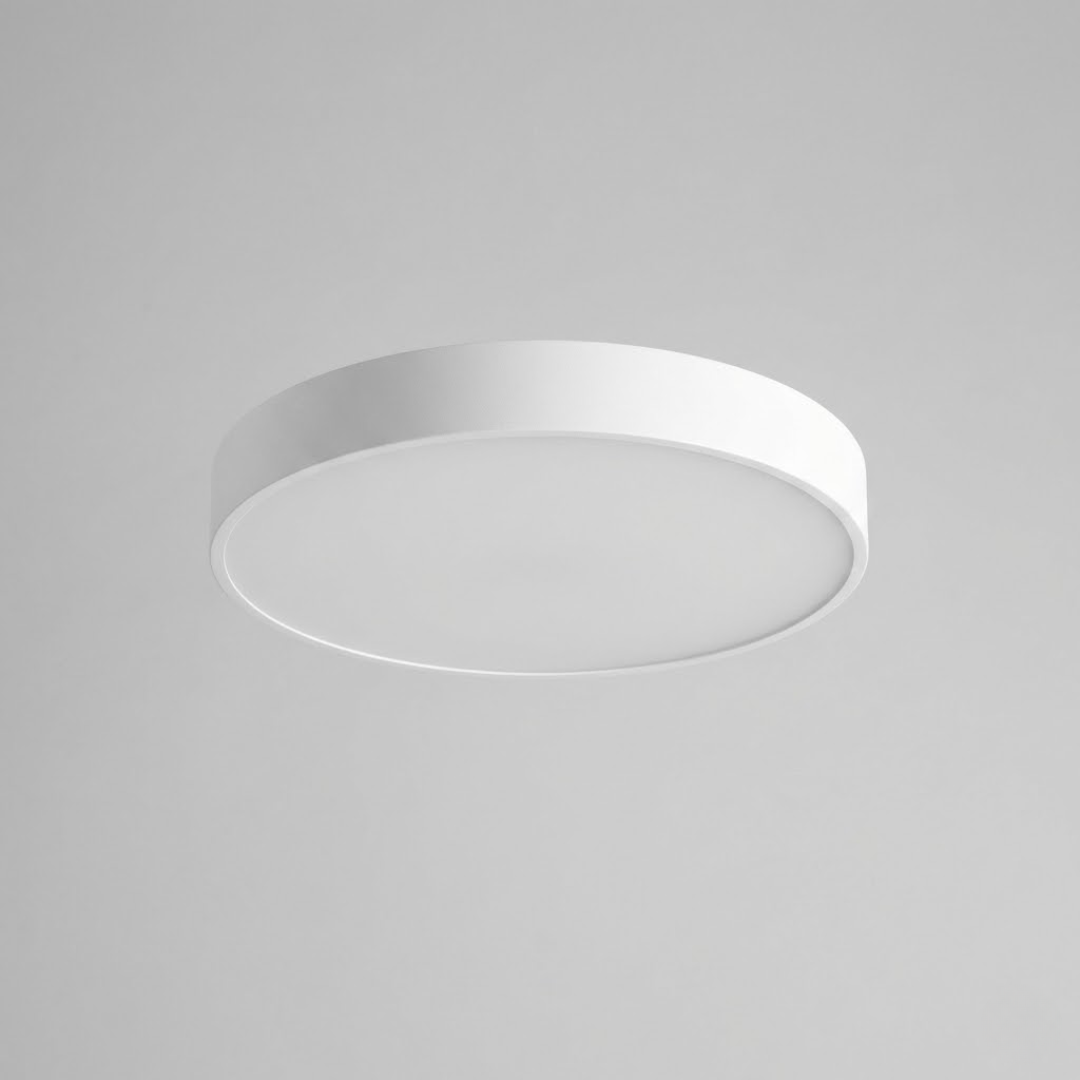 Flush Mount LED Ceiling Light Fixture