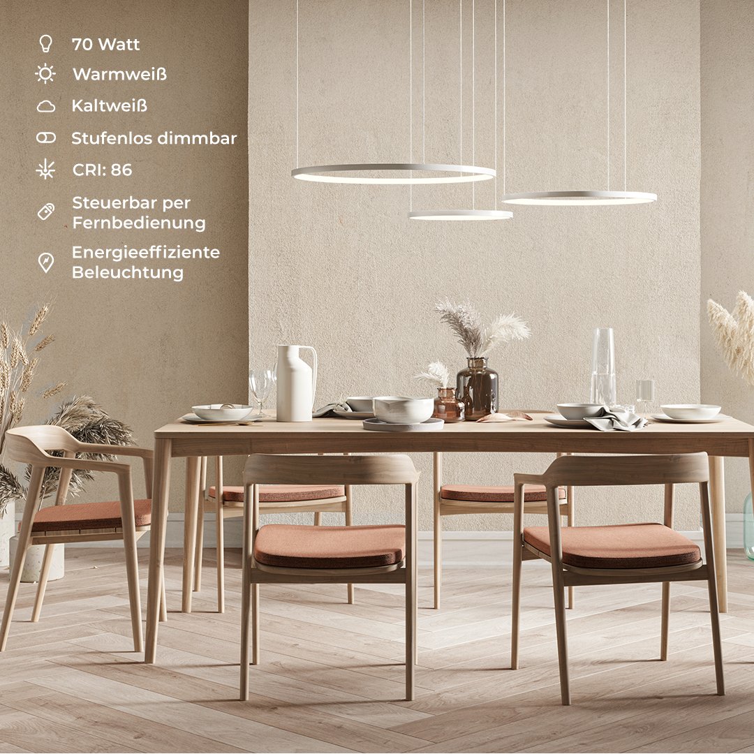 Cirrus | LED Ring Pendant Light