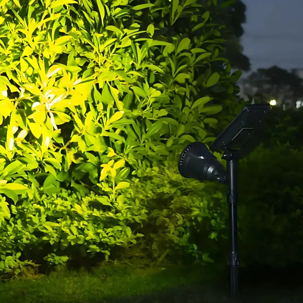 Theron | Solar-Powered Garden Spotlight