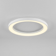 Halo LED Flush Mount Ceiling Light Fixture