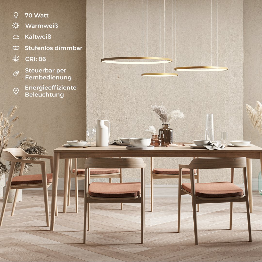 Cirrus | LED Ring Pendant Light