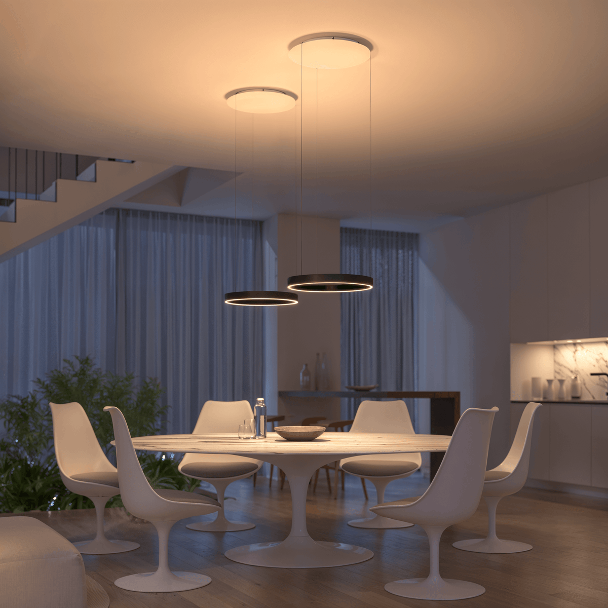 Zephyra | LED Ring Pendant Light