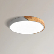 Brynmoor | LED Ceiling Light with Wood Accent