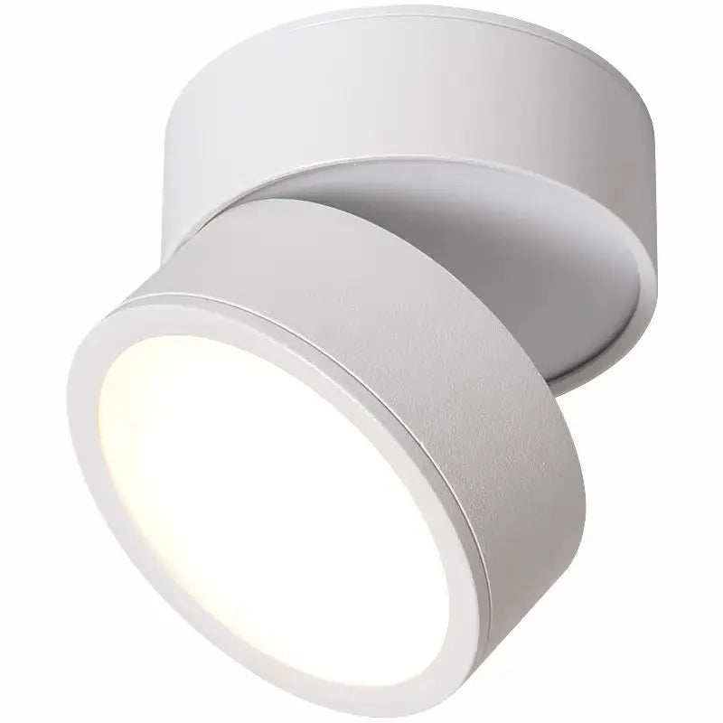 Rotelle | Adjustable LED Ceiling Spotlight