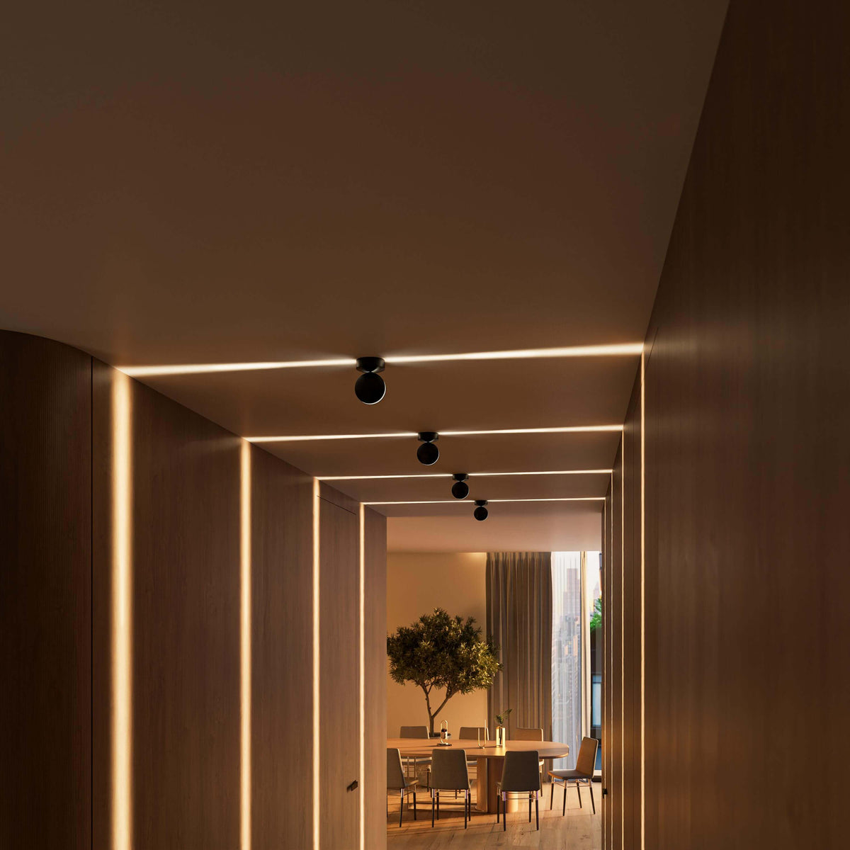 Calyx | Adjustable LED Ceiling Spotlight