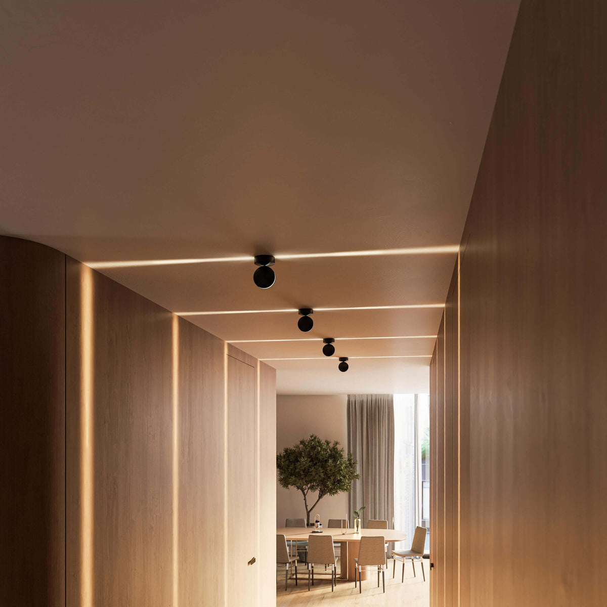 Calyx | Adjustable LED Ceiling Spotlight