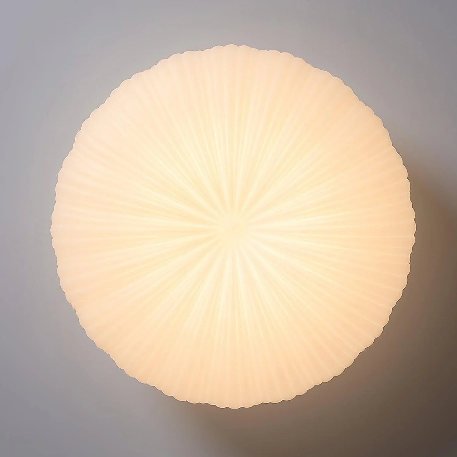 Valoria | Shell-Inspired Pleated Ceiling Light