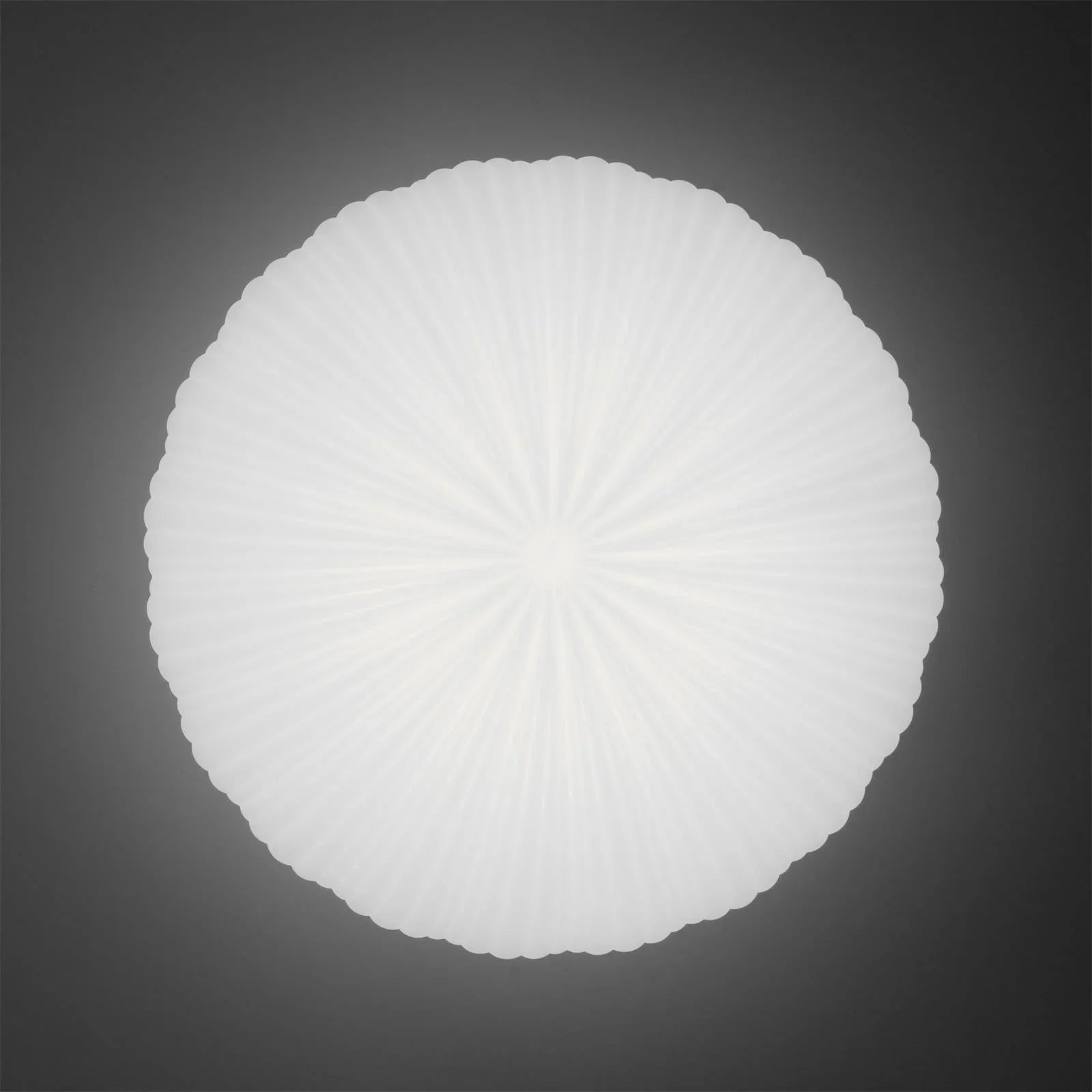 Valoria | Shell-Inspired Pleated Ceiling Light