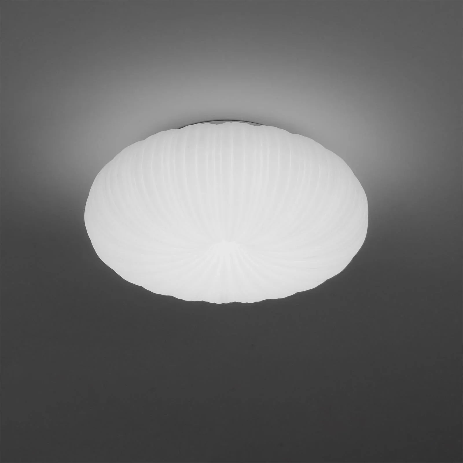 Valoria | Shell-Inspired Pleated Ceiling Light