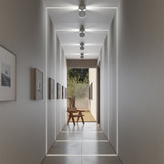 Calyx | Adjustable LED Ceiling Spotlight